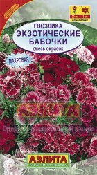 Гвоздика турецкая Экзотические бабочки,смесь Аэлита