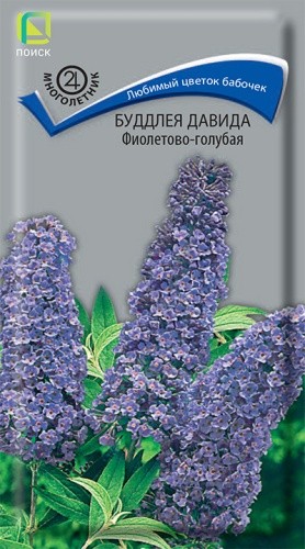 Семена Буддлея Давида Фиолетово-голубая (Поиск)