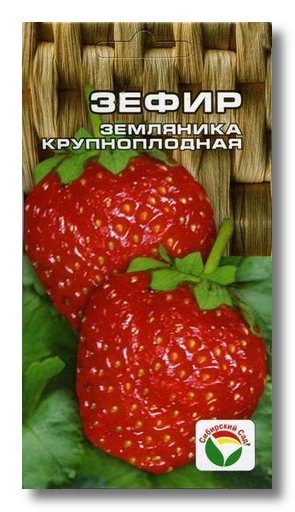 Семена Клубника Зефир (Сиб сад)