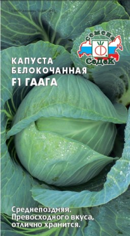 Капуста белокочанная Гаага F1 (СеДеК) Капуста белокочанная Гаага F1 (СеДеК)