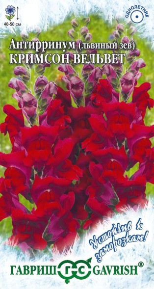 Семена Антирринум (Львиный зев) Кримсон Вельвет (Гавриш)