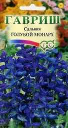 Сальвия Голубой монарх (Гавриш)