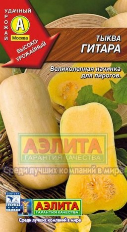 Тыква Гитара (Аэлита) Тыква Гитара (Аэлита)