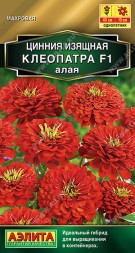 Цинния Клеопатра F1 Алая (Аэлита)