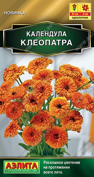 Семена Календула Клеопатра (Аэлита)