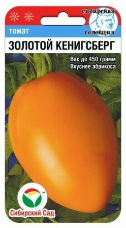 Томат Золотой Кенигсберг (Сиб сад) Томат Золотой Кенигсберг (Сиб сад)