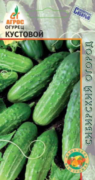Семена Огурец Кустовой (Агрос)