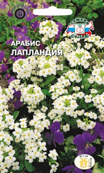 Семена Арабис Лапландия (СеДеК)