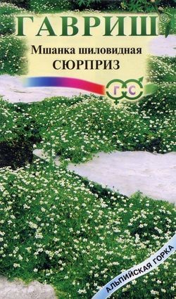 Семена Мшанка Сюрприз (Гавриш)