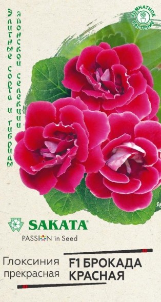 Семена Глоксиния Брокада Красная F1 (Гавриш)