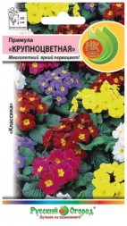 Примула Крупноцветная смесь НК
