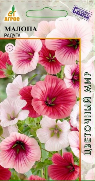 Семена Малопа Радуга (Агрос)