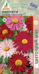 Пиретрум Гиганты Робинсона 0,2г Мн 80см (Агрос)