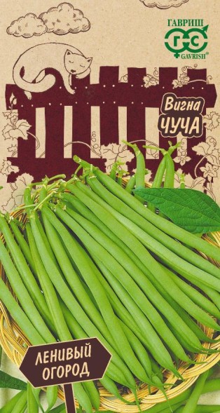 Семена Вигна Чуча (Гавриш)