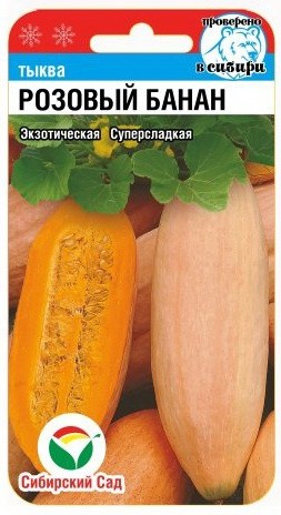 Тыква Розовый банан (Сиб сад) Тыква Розовый банан (Сиб сад)