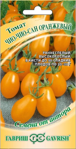 Томат Чио-чио-сан оранжевый (Гавриш) Томат Чио-чио-сан оранжевый (Гавриш)