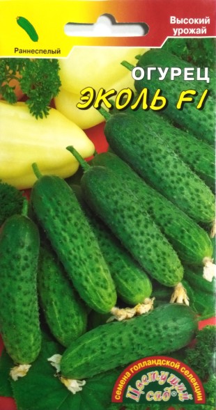 Семена Огурец Эколь F1 ЦС