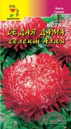Астра Седая Дама селект Алая пионовидная ЦС