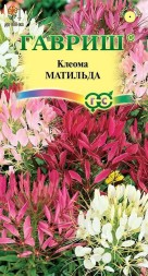 Клеома Матильда колючая (Гавриш)