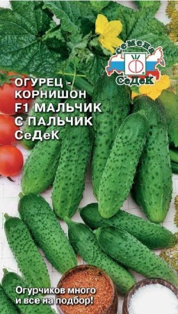 Огурец Мальчикс пальчик F1 корнишон (СеДеК) Огурец Мальчикс пальчик F1 корнишон (СеДеК)