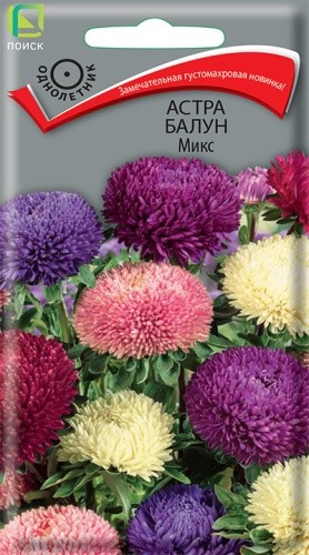 Семена Астра Балун Микс махровая (Поиск)