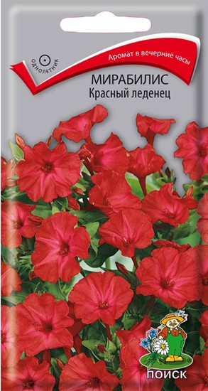 Семена Мирабилис Красный леденец (Поиск)