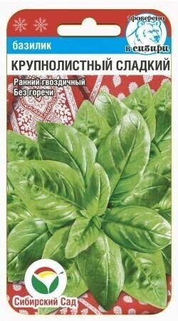 Семена Базилик Крупнолистный сладкий зеленый (Сиб сад)