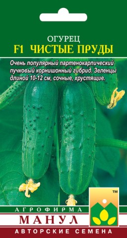 Огурец Чистые пруды F1 (Манул) Огурец Чистые пруды F1 (Манул)