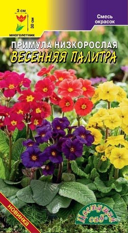 Семена Примула Весенняя палитра смесь (ЦС)