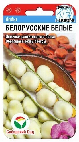 Семена Бобы Белорусские белые (Сиб сад)