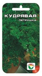 Петрушка Кудрявая (Сиб сад)