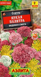 Седум Яркая палитра смесь (Аэлита)