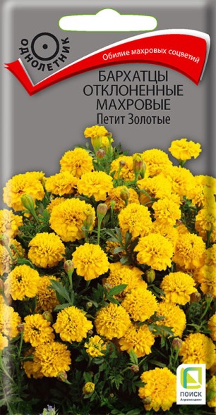 Семена Бархатцы отклоненные Петит золотые (Поиск)
